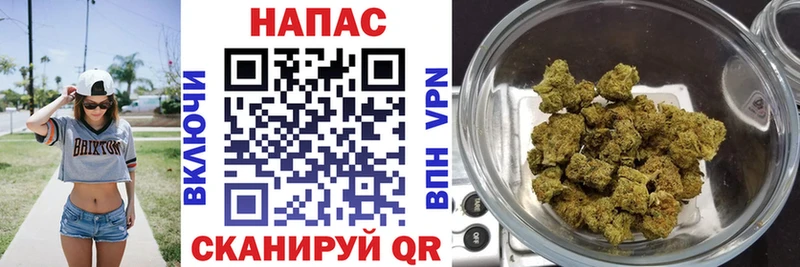 где найти наркотики  нарко площадка наркотические препараты  Конопля сатива  Петровск-Забайкальский 